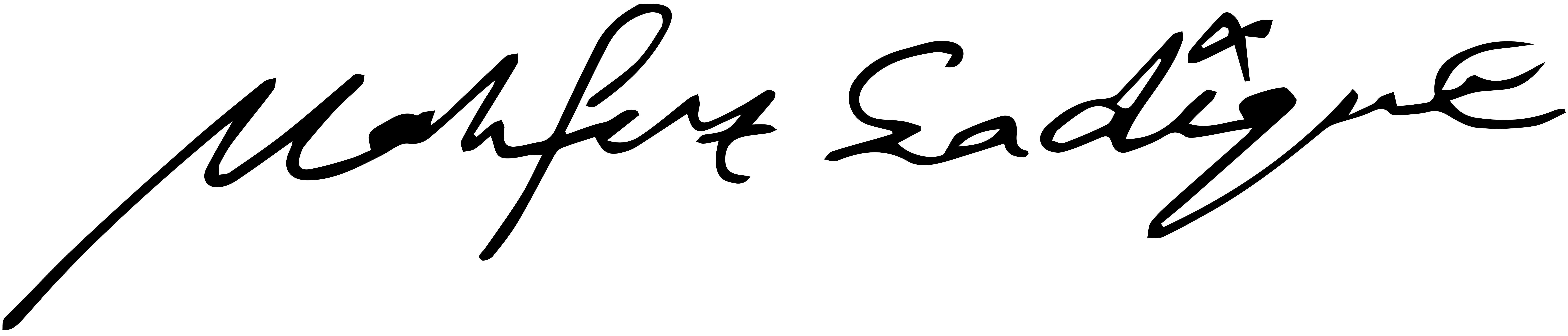 Mahfuz Sadique signature